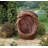 Easy Fountain Forest Fern with Lights Mains Plugin Powered Water Feature