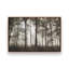 «Forest Illumination» par Lori Deiter, reproduction d'art-623271546-623271542-623271536