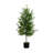 Artificial Norfolk Pine Tree-1606007050