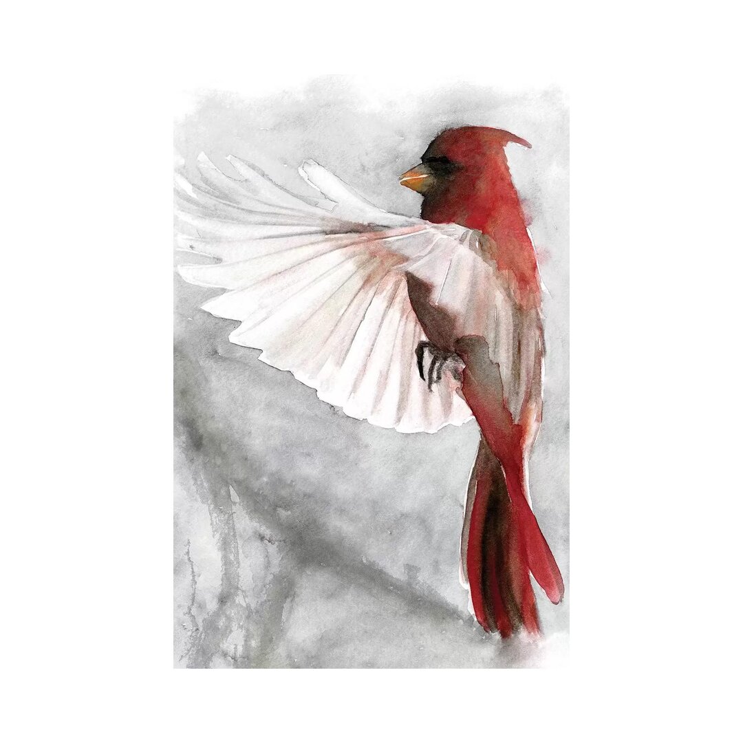 Cardinals II von Stellar Design Studio - Galerie-verpackte Leinwand Giclée