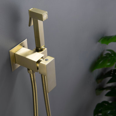 Elongated Wall Mount Bidet with Faucet