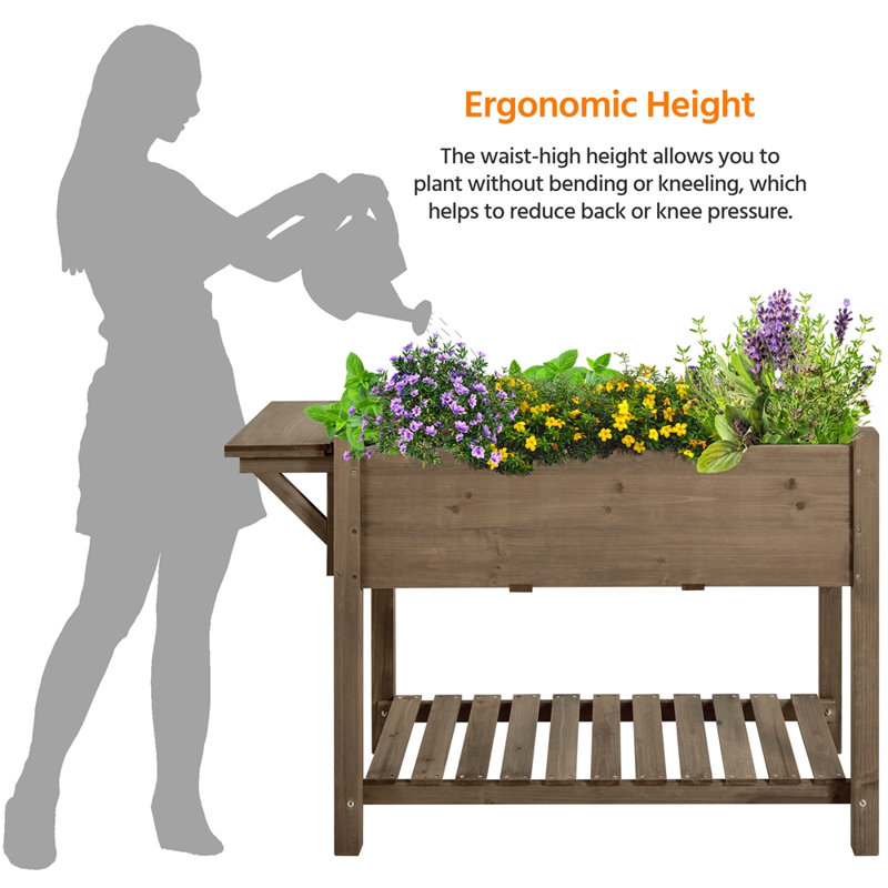 Aliaya Solid Wood Elevated Garden Bed Planter Box with Removable Grow Grids, Dark Brown
