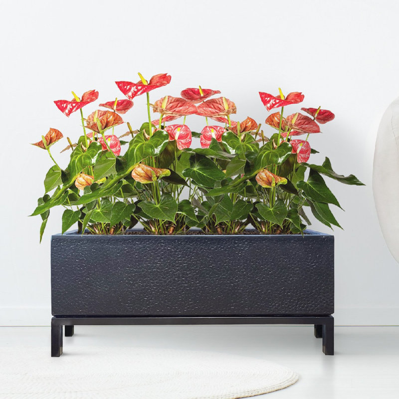 Indoor Raised Trough Planter, Concrete Effect Rectangular Plant Pot with Hammered Pattern, Black Flower Pot on Metal Stand