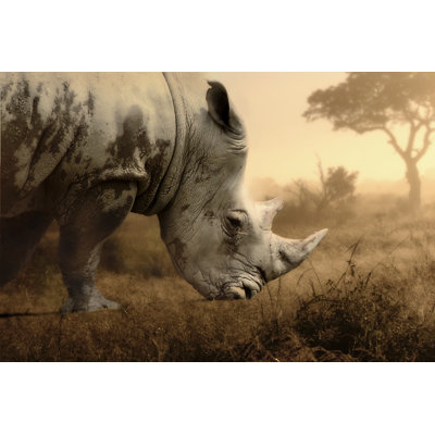 Rhino by Stefanoborsani - Wrapped Canvas Print