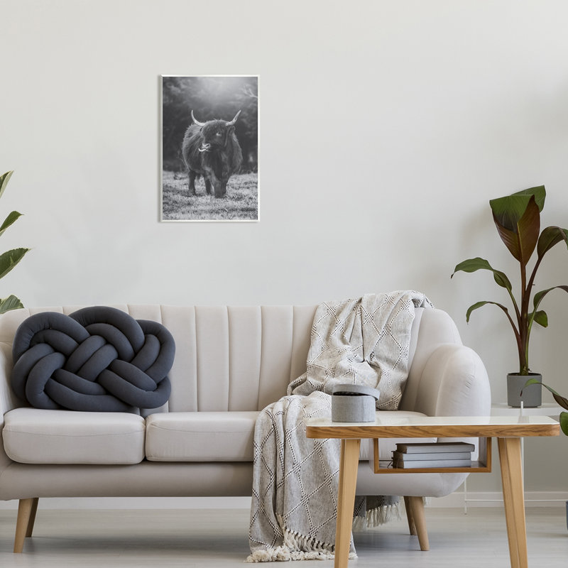 Vache Highland monochrome - photographie, H 19 po x l 13 po x P 0,5 po, Bois