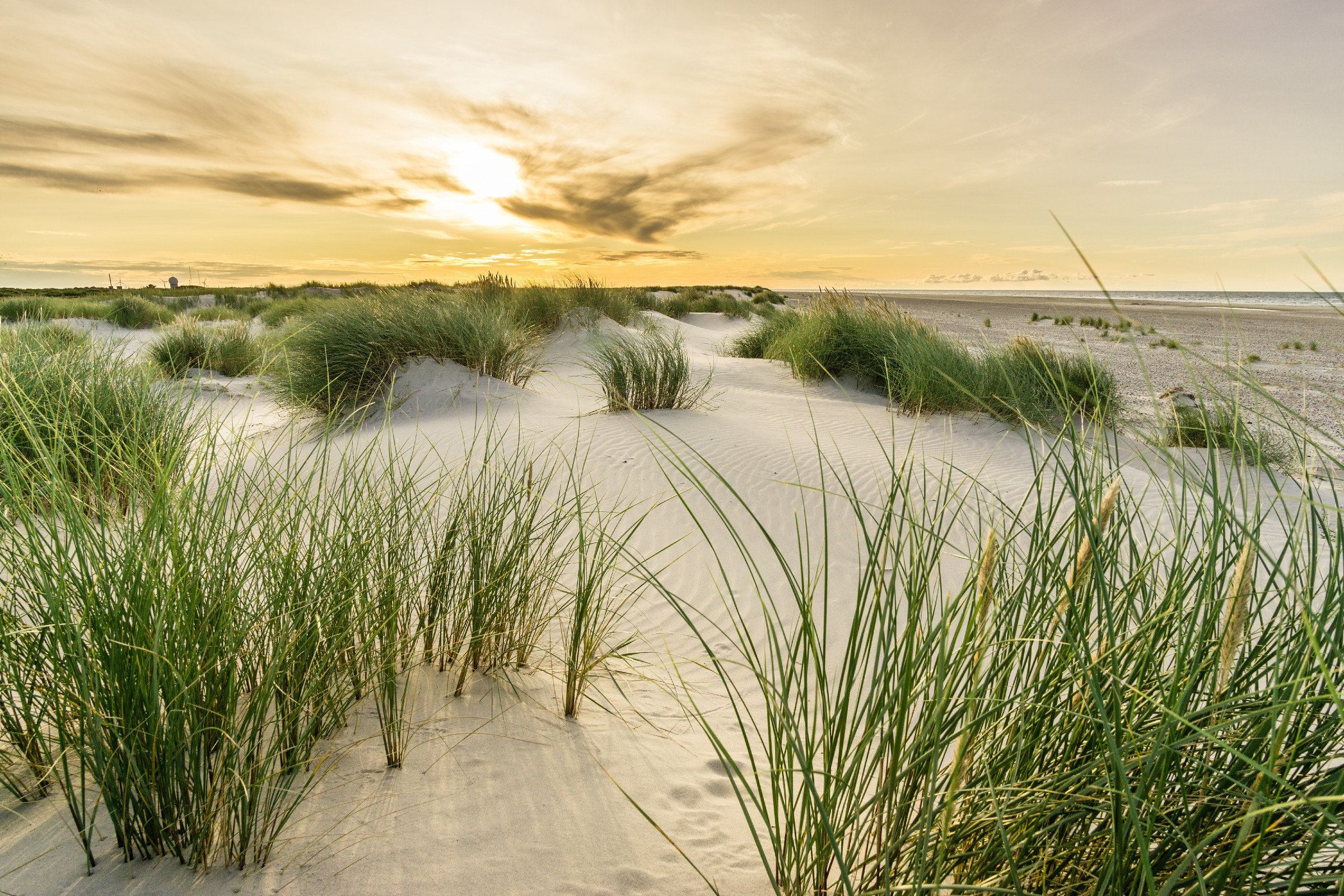 Highland Dunes Beach With Sand Dunes | Wayfair