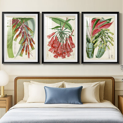 Tropical Gems I  -Custom Framed  Premium Print W Matt - 3 Pieces