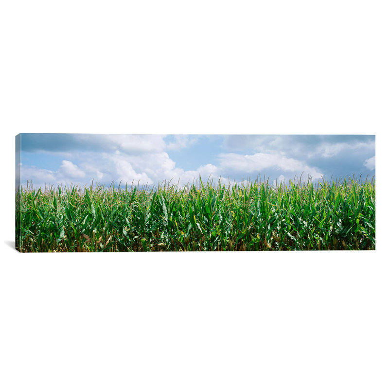 « clouds over a corn field, illinois », reproduction de photo sur toile, H 16 po x l 48 po x P 1,5 po, Toile tendue