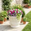 Roselmont Planter-137128713-137128714