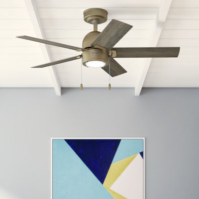 Ventilateur de plafond à 5 pales de 44 po avec ensemble de lumières DEL et chaînette Erling