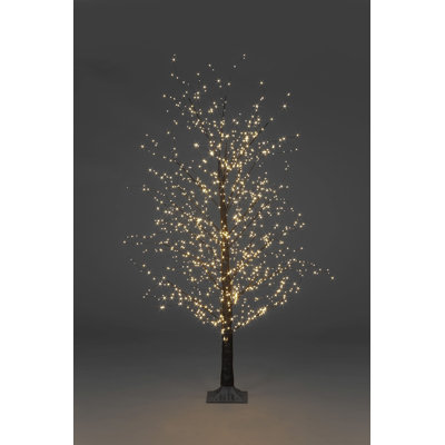 Indoor / Outdoor Holiday Lighting