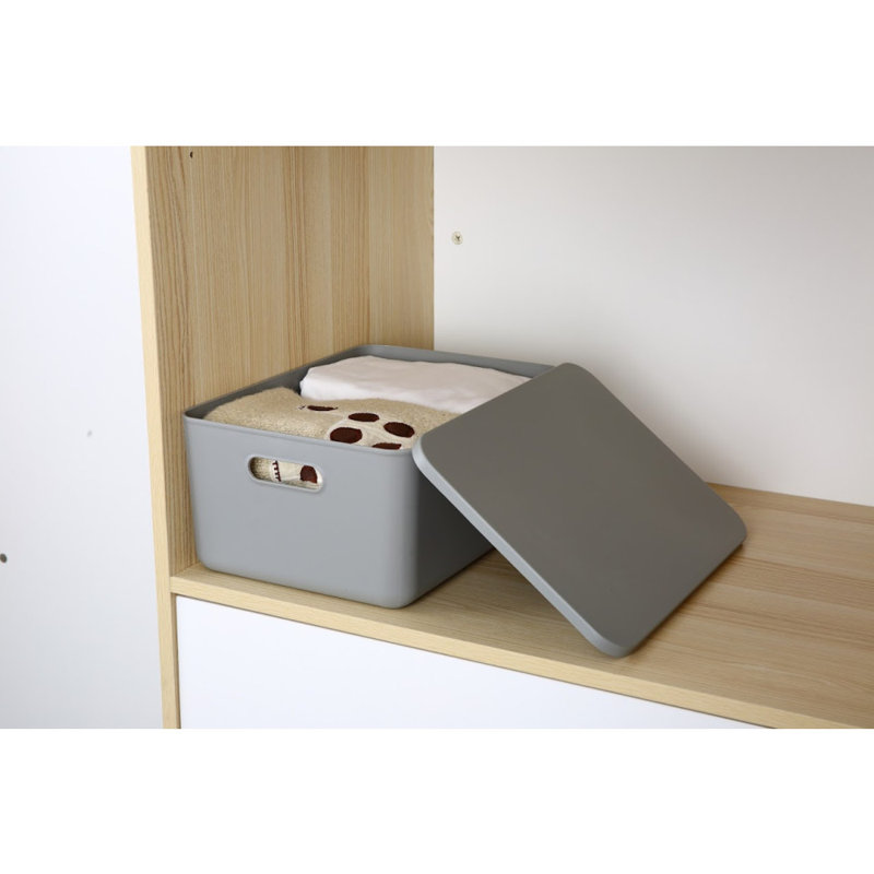 Latitude Run® Plastic Decorative Bins, 1, 6.25" H x 10.25" W x 14.25" D