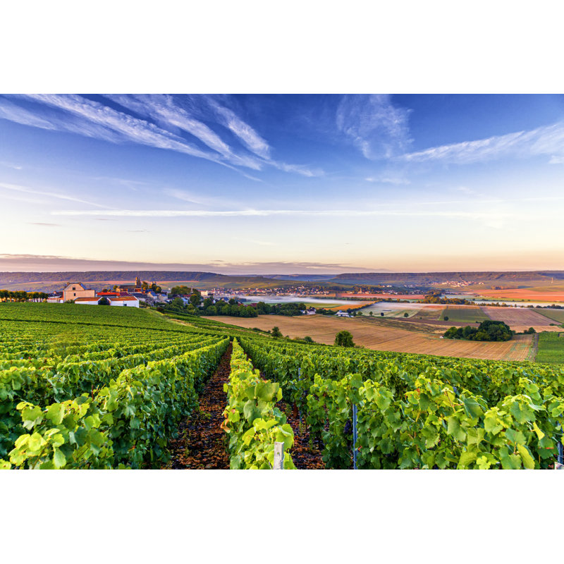 Champagne region in France. A beautiful view. 1 Piece Wrapped Canvas Wall Art, 30cm H x 46cm W