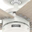 Ventilateur de plafond standard à 5 pales de 52 po avec contrôle mural Burton