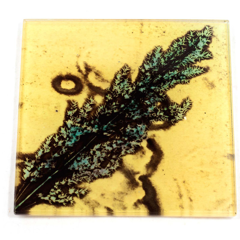 Glass Square 1 Piece Coaster
