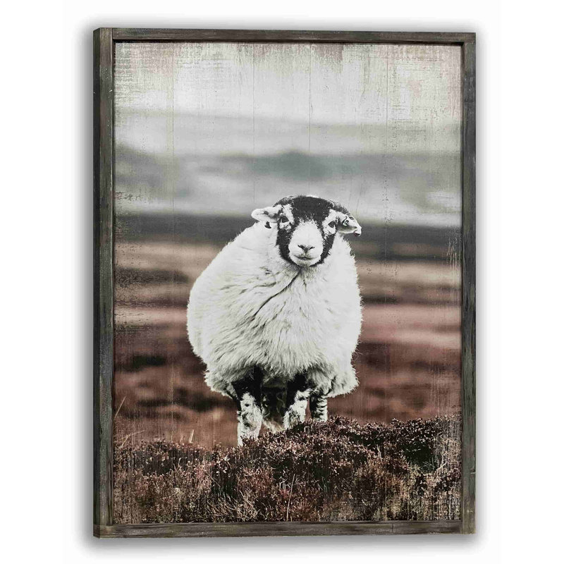 Graceful Standing Sheep On Canvas Print, H 30 po x l 40 po x P 1,5 po
