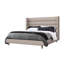 Ornette Upholstered Wingback Bed-64466153-64466154