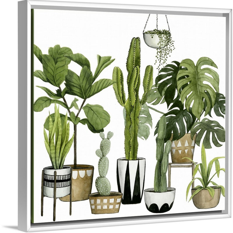 «Plant Haven I», art mural sur toile, Toile avec cadre blanc, H 36 po x l 36 po x P 1,75 po