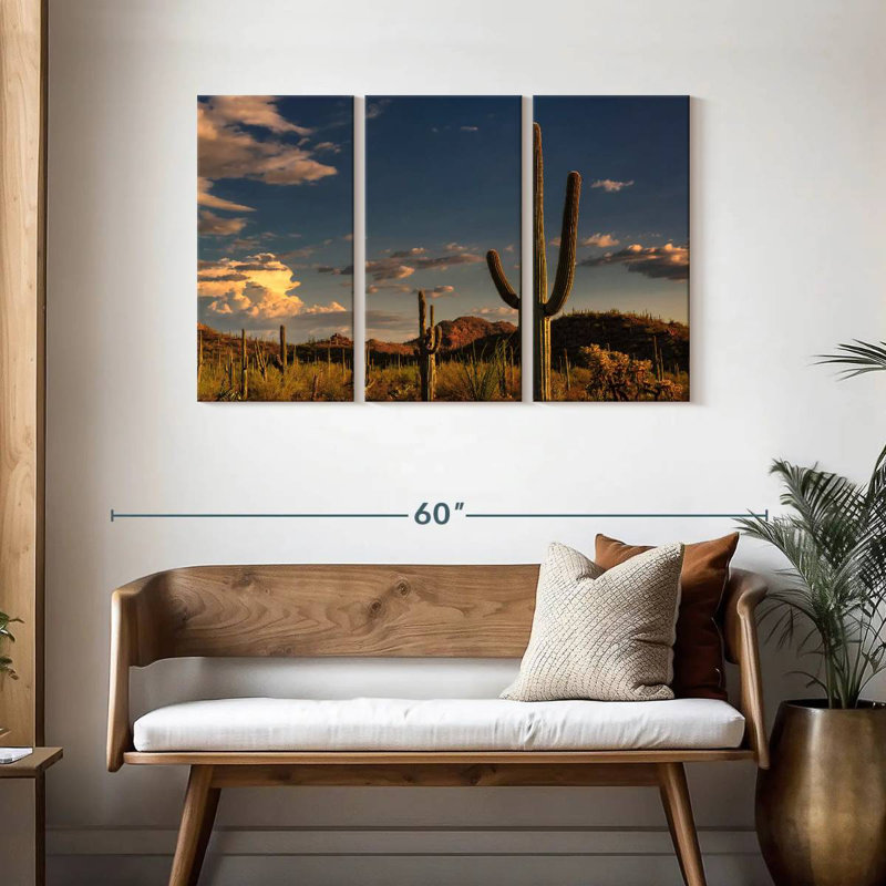 Cactus Harnek Tucson, H 28 po x l 45 po