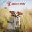 Lucky Dog Modular Steel Yard Kennel