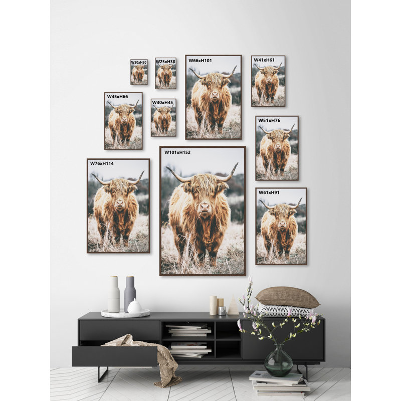 Scottish Highland Cattle - Print, Floater Brown Framed Canvas, 76cm H x 76cm W x 3.81cm D