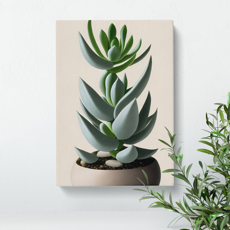Succulent Plant - Wall Art, Wrapped Canvas, 50cm H x 35cm W, No Matte