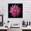 Toile épique Graffiti «Dahlia 5» par Debra Van Swearingen, 18 po x 18 po