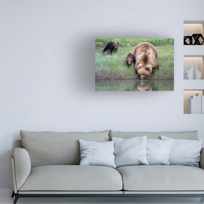 Art sur toile «ologic Renee Doyle »