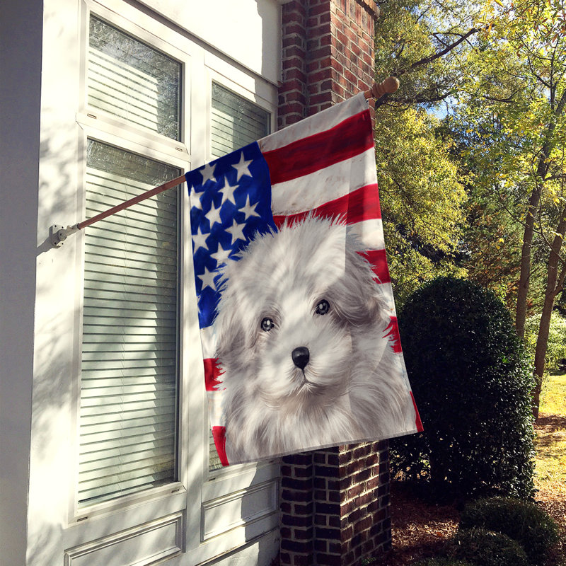 Polyester à 2 côtés 28 x 40 po drapeau maison, Bichon bolonais