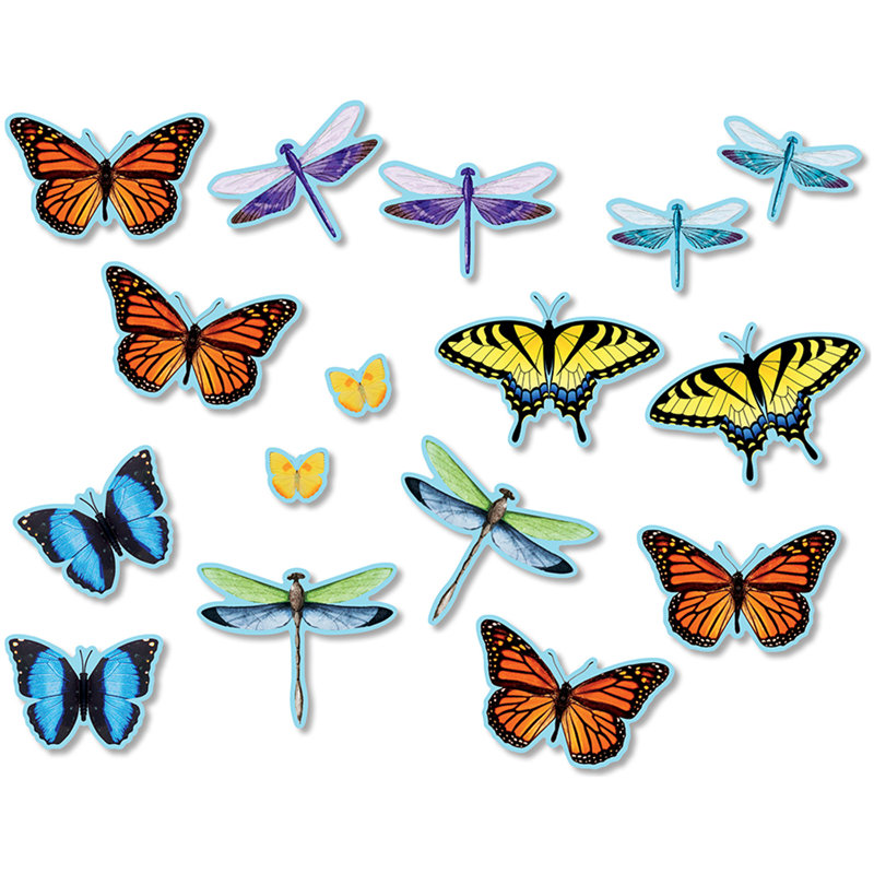 Accents de babillard, papillons et libellules