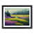 Black Framed