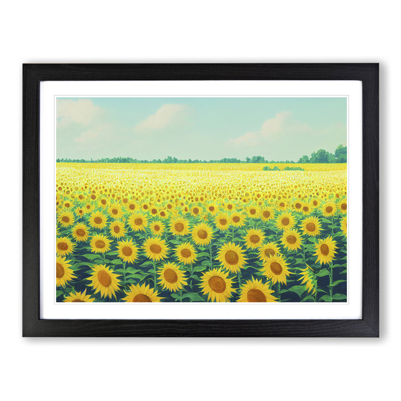 Fine Sunflower Field - Single Picture Frame Painting, Black, 46cm H x 64cm W x 2cm D