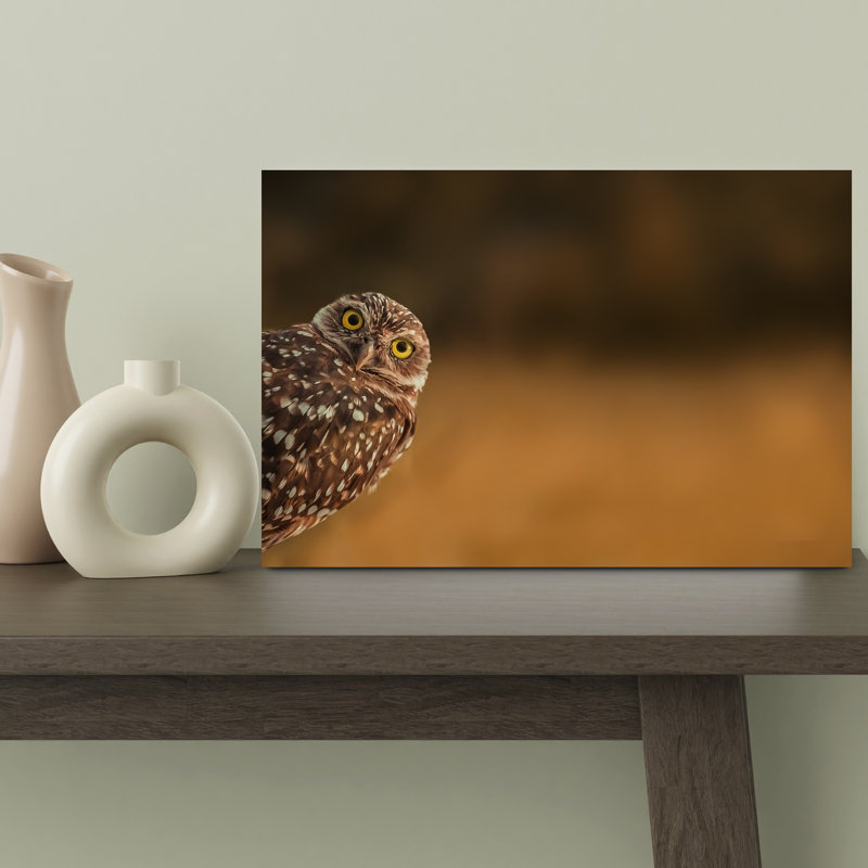 Curious Burrowing Owl Contemporary Bird Owl Forest Wall Art Print, 30.48cm H x 45.72cm W