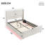 Aaris Upholstered Ottoman Storage Bed-1195672644