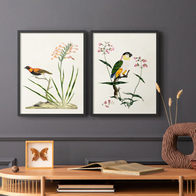Bird in Habitat III-Premium Framed Print -Ready to Hang - No Nails Required - No Nails Required