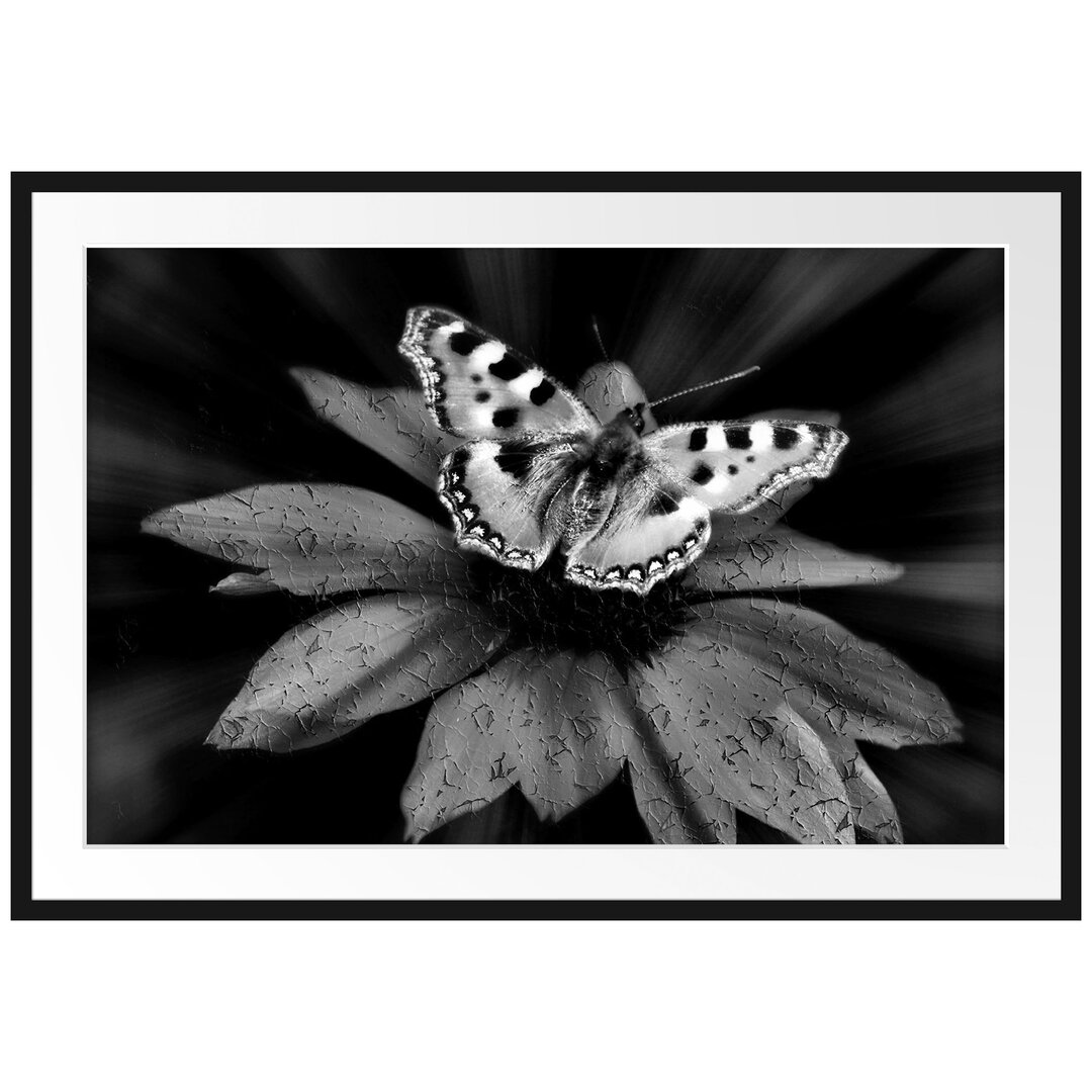 Gerahmtes Poster Schmetterling auf roter Blüte