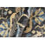 Tapis Selvia