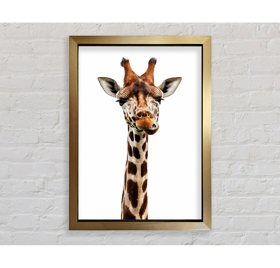 Goofy Giraffe - Druck