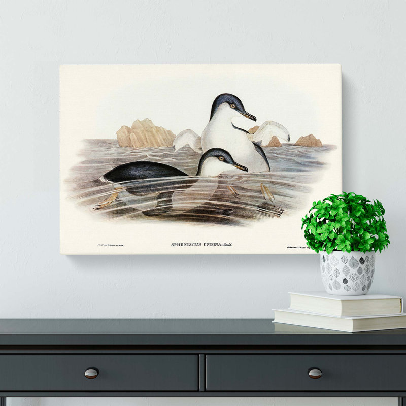 Little Blue Penguins by Elizabeth Gould - Wrapped Canvas, 50cm H x 76cm W x 3cm D