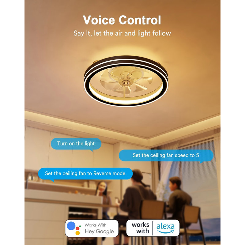 Lumary 19" Smart Ceiling Fan Light with Nightlight, WiFi & Bluetooth Low Profile Ceiling Fan with Light Remote for Bedroom, RGBAI & 42 Scenes Mode(Black)