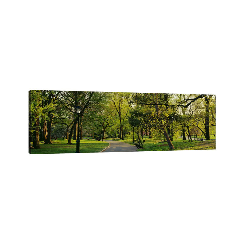 Trees In A Park, Central PArk, NYC, New York City, New York State, USA - Wrapped Canvas Panoramic Print