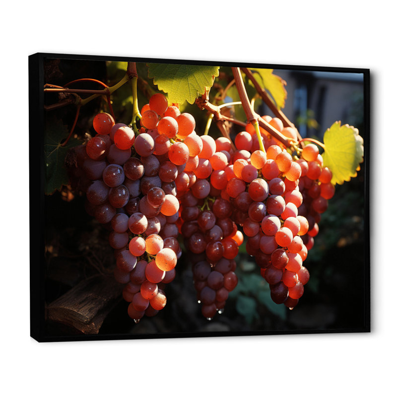 Scenic Vineyard Golden Harvest, H 34 po x l 44 po x P 1,5 po, Cadre flottant noir