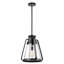 Luminaire suspendu conique à 1 lumière Iola-239980359-239980362