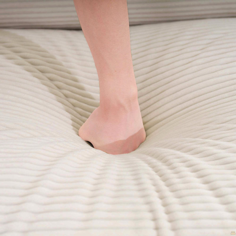Ensemble de canapé luxueux et sophistiqué, Beige