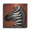 «Zebra Wow» par Ryan Fowler-1387821828