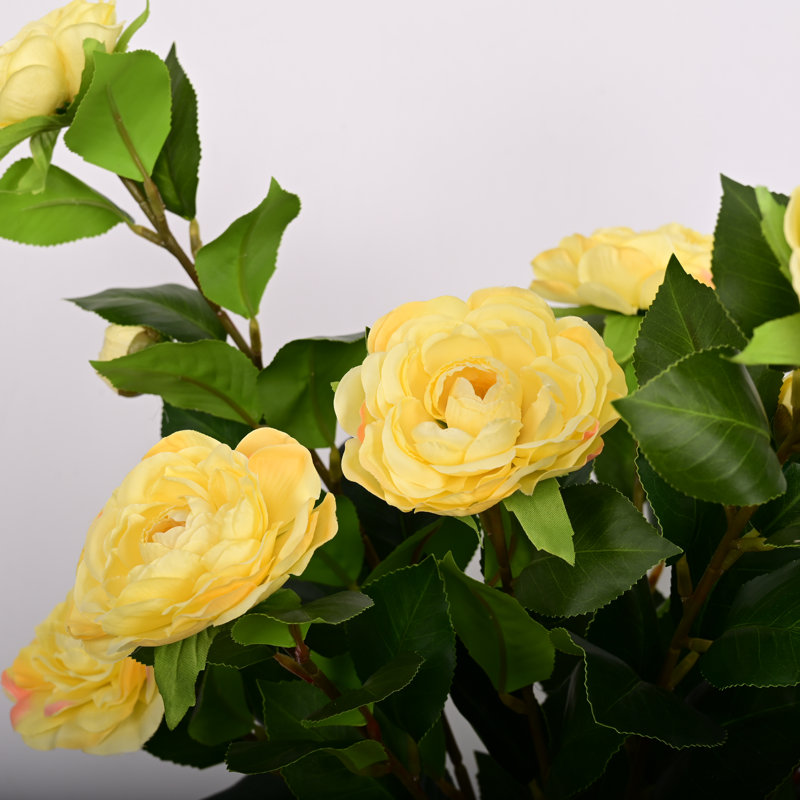 Arrangement floral de pivoines Tuomo, Jaune