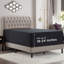 Drap-housse uni Empyrean Bedding-743435156-743386362