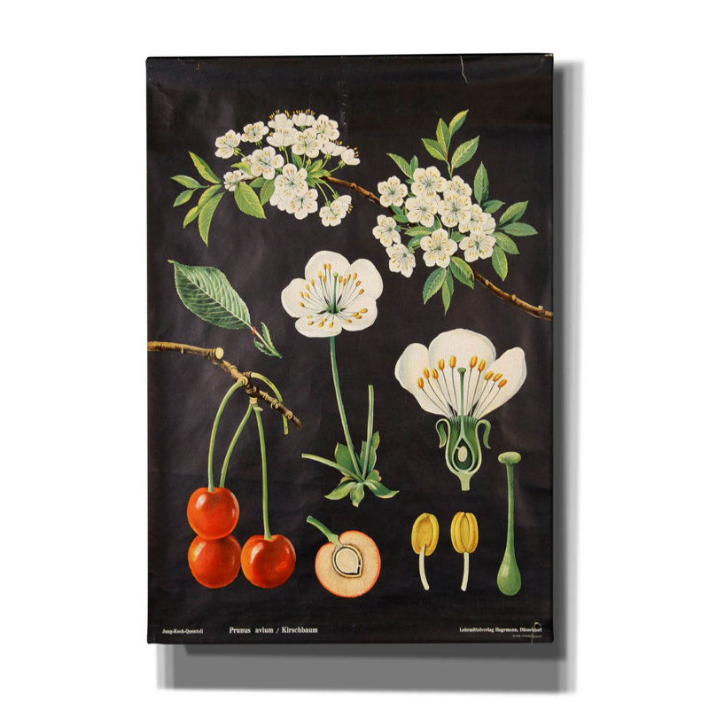 "Eat Veggies" par Vintage Posters, H 26 po x l 18 po x P 0,75 po