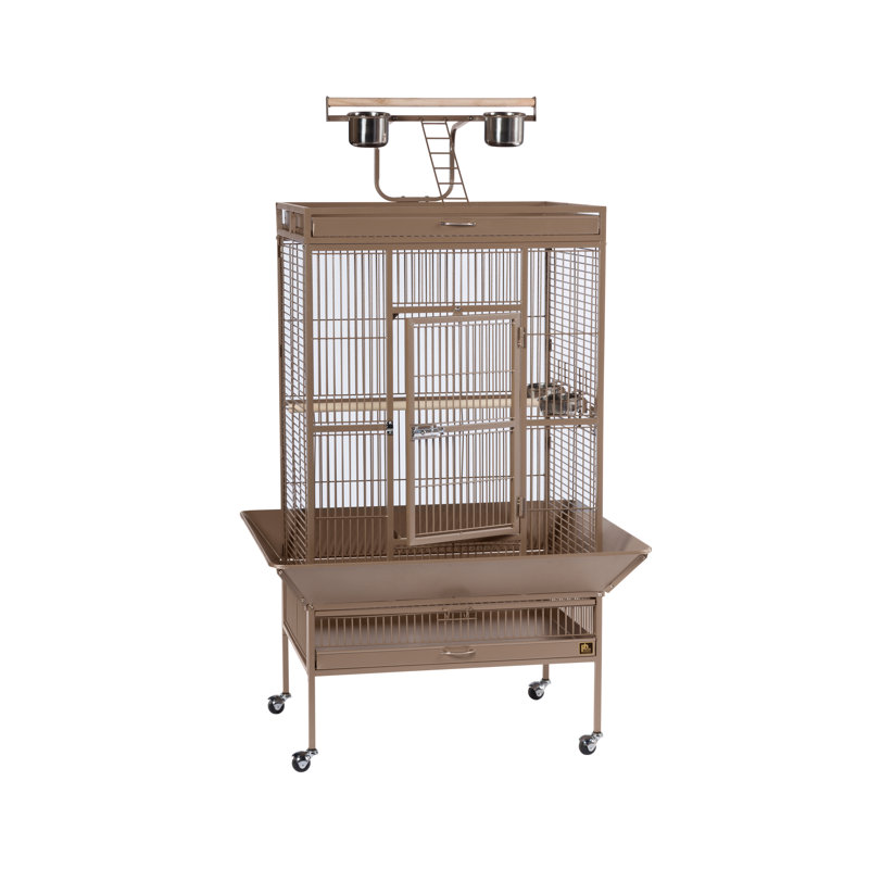 Cage à oiseau avec roues, support, perchoir, plateau Lucile, Coco, Grand (H 63 po x l 22 po x P 30 po)