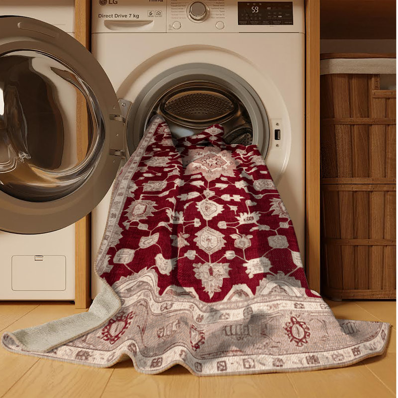 Machine Washable Overdyed Brown Area Rug